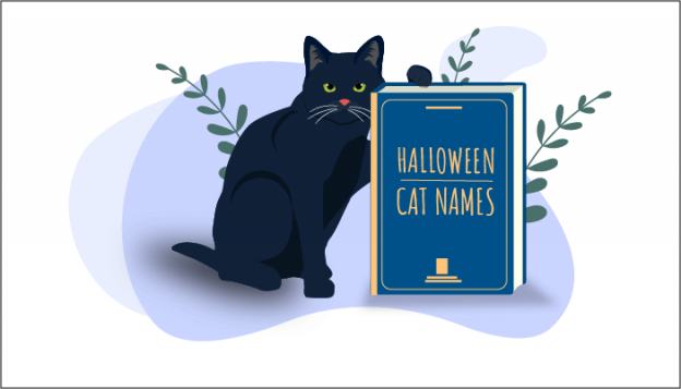 150 Nomes de gatos com tema de halloween mais populares