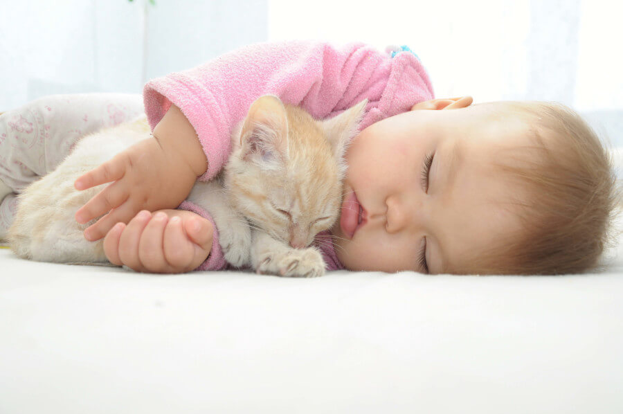 Uma foto comovente mostrando um bebê e um gato juntos, capturando um momento de ternura entre os dois companheiros.