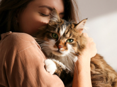 Woman holding and tenderly hugging her beloved cat