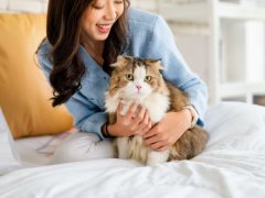 woman hug cat