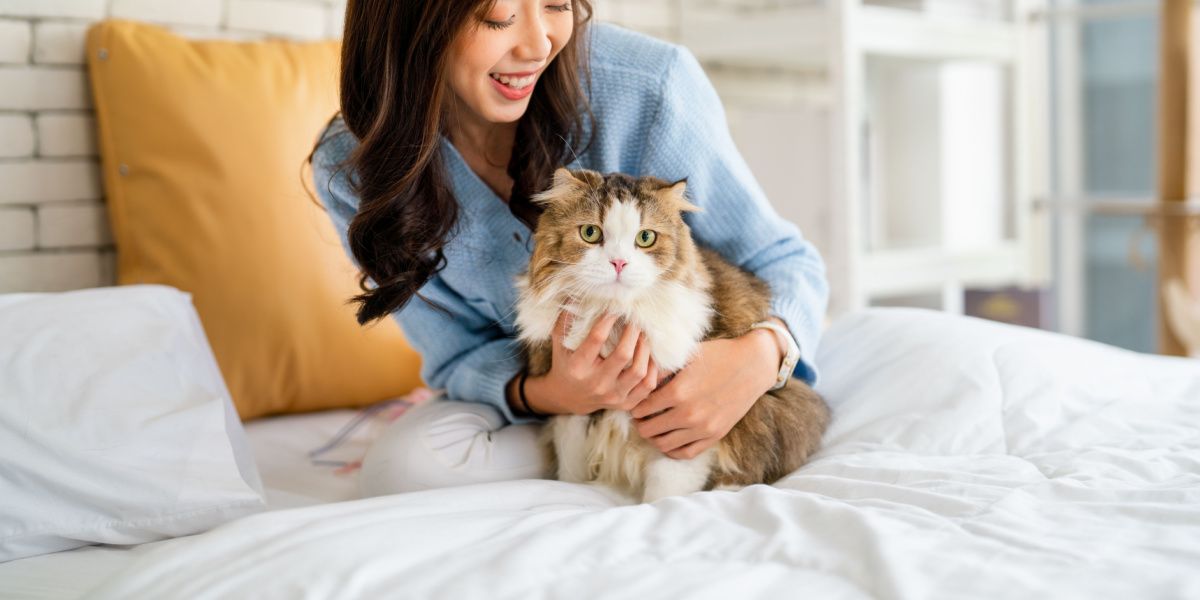 mulher abraça gato