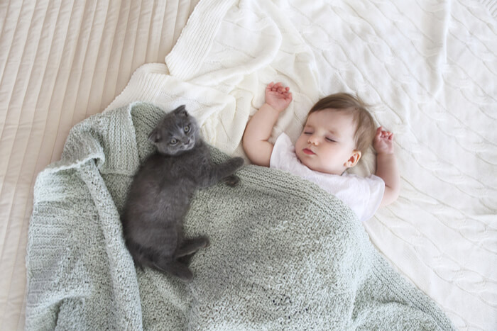 Bebê cochilando com gatinho