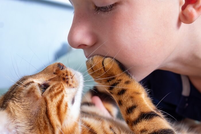 Criança com gato de bengala