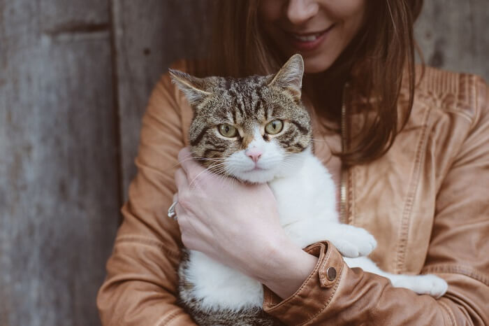 Adotando um gato FeLV positivo