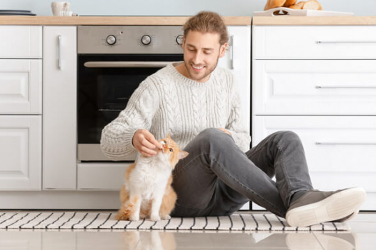O Que É Ração De Qualidade Humana Para Gatos e Como Ela É Diferente