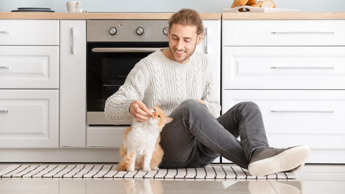 recurso de ração para gatos de qualidade humana