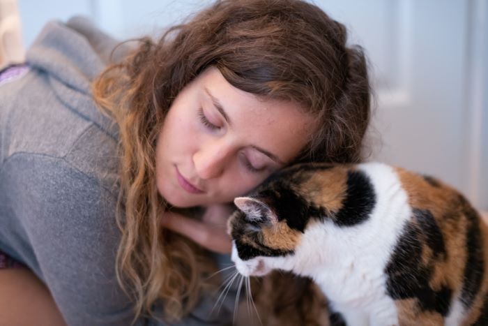 gato interagindo com humano