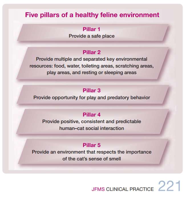 Cinco pilares de um ambiente felino saudável JFMS