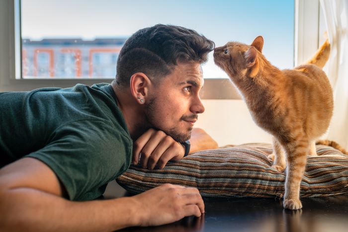 gato cheirando cabelo de homem