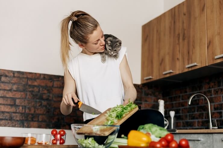 Mantenha os gatos longe dos balcões: gato no ombro de uma mulher na cozinha