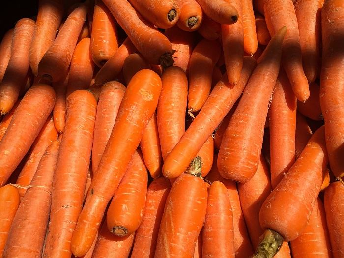 Pilha de cenouras frescas, um lanche vibrante e saudável.