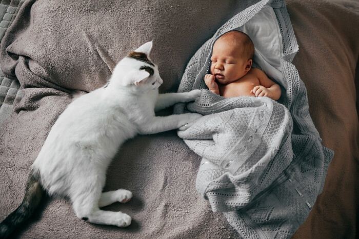 Uma imagem que retrata um momento emocionante entre um bebê e um gato.