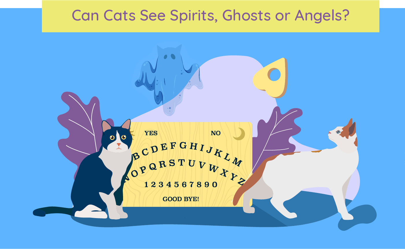 Imagem intitulada 'Os gatos podem ver espíritos, fantasmas e anjos?' que explora a crença de que os gatos podem perceber entidades sobrenaturais.