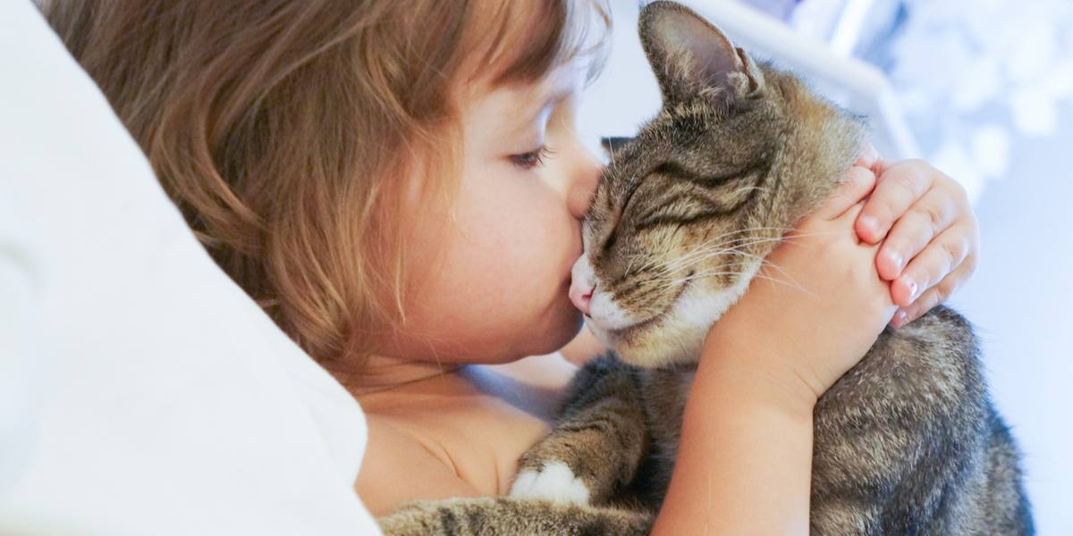 Imagem de uma criança beijando carinhosamente um gato, refletindo um momento emocionante de companheirismo e confiança entre humanos e amigos felinos.