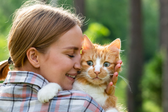 Novo Estudo Sugere que os Donos de Gatos Amam mais seus Gatos do que seus Parceiros