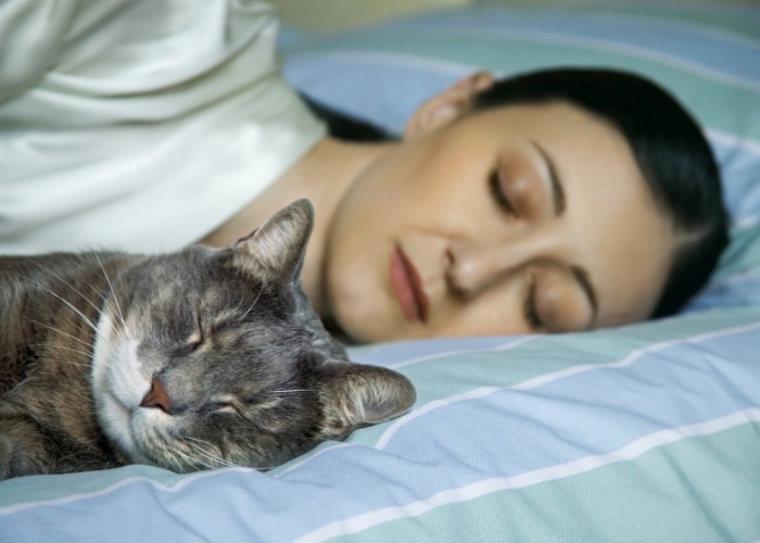 Imagem de uma mulher dormindo pacificamente com um gato, exemplificando o companheirismo reconfortante e o calor que os gatos podem trazer à vida humana.