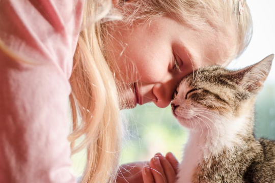 5 Maneiras de Construir um Vínculo mais Forte com seu Gato
