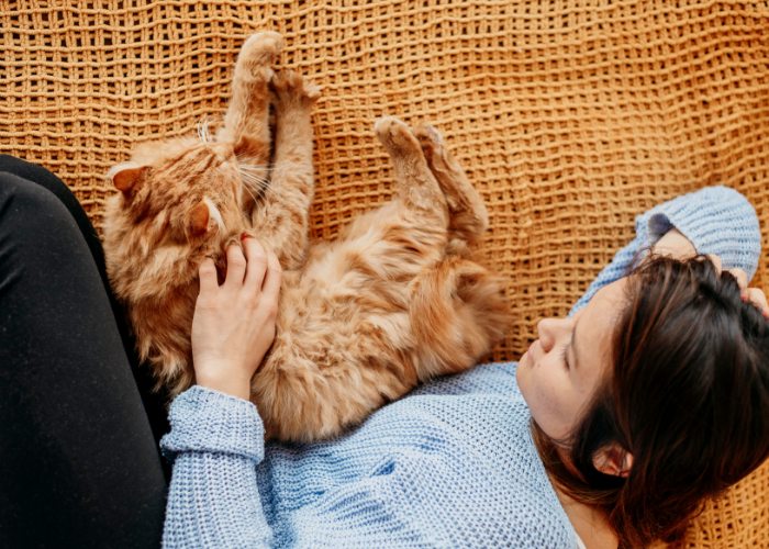 Uma imagem que retrata uma mulher e um gato laranja em um momento emocionante.