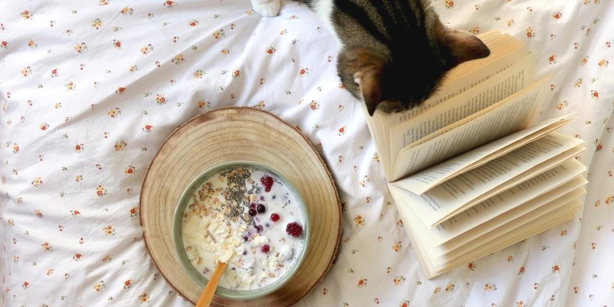 Um gato confortavelmente aninhado em uma cama ao lado de uma tigela de mingau de aveia e um livro, criando um cenário aconchegante e charmoso