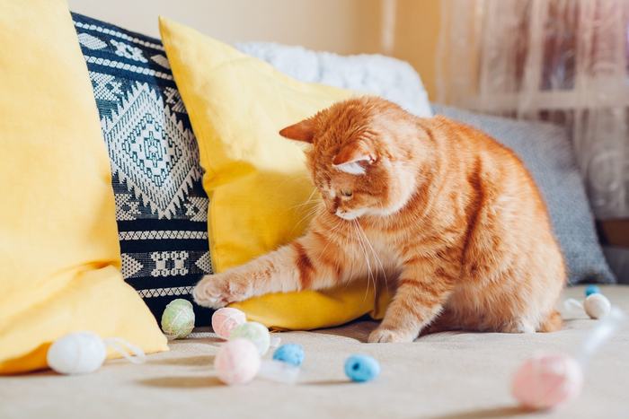 Gato ruivo totalmente envolvido na brincadeira, atacando com entusiasmo e entusiasmo, capturando a essência alegre da brincadeira felina.