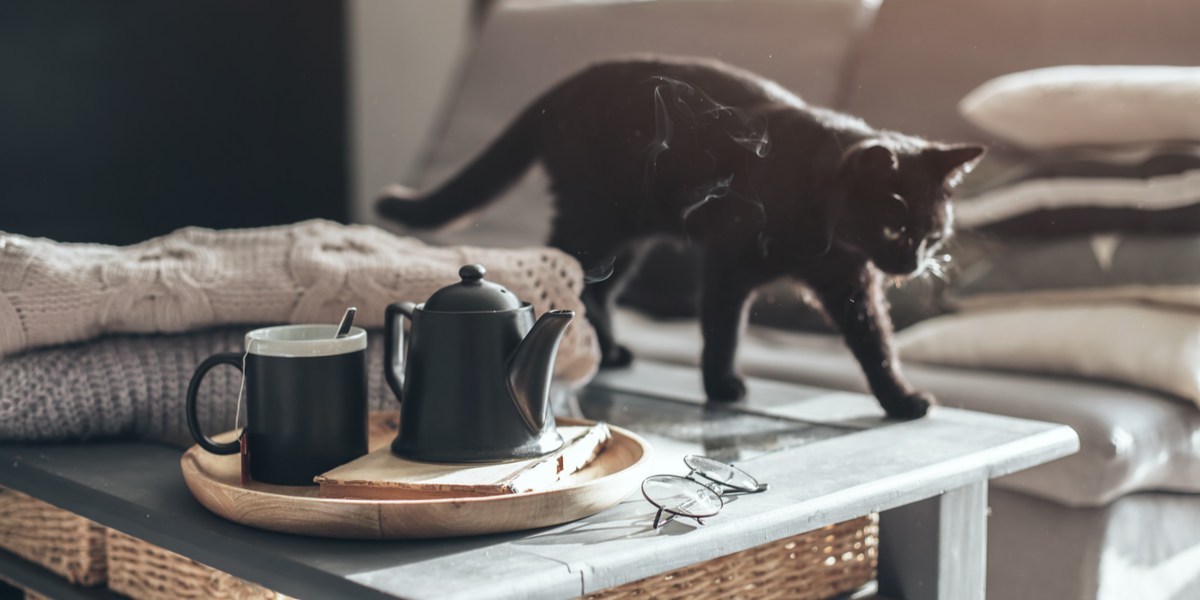 Coleção de imagens divertidas que capturam gatos derrubando vários itens das mesas, destacando seu comportamento brincalhão e travesso.