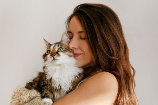 Como ter um Relacionamento Melhor com seu gato