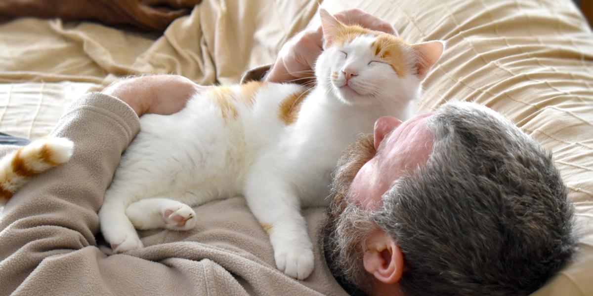 Imagem de um gato deitado sobre o peito de uma pessoa, destacando o comportamento afetuoso e o vínculo estreito entre os gatos e seus companheiros humanos.