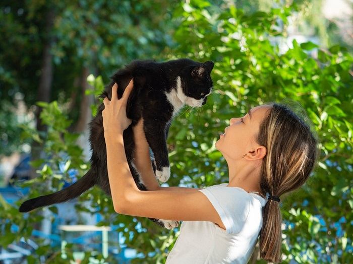 Olhar direto nos olhos de um gato alerta e atento.