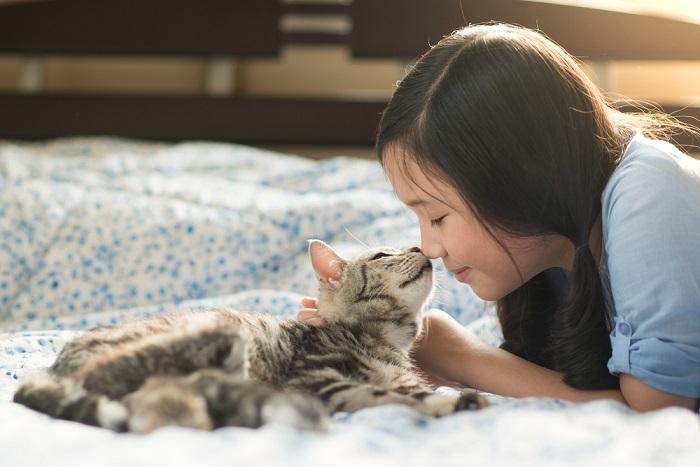 Uma adorável imagem de uma criança e um gato compartilhando um momento encantador.