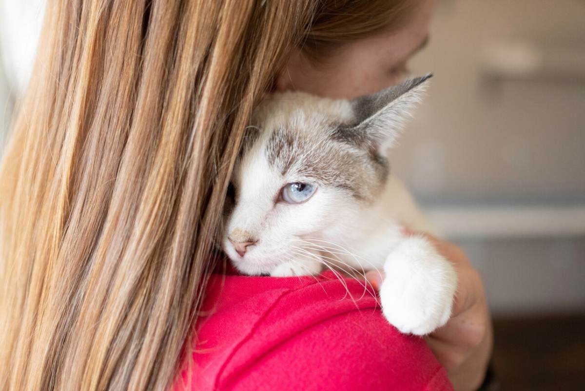 Imagem de uma senhora abraçando calorosamente seu gato, retratando um momento emocionante de carinho e conexão entre a dona de um animal de estimação e seu companheiro felino.