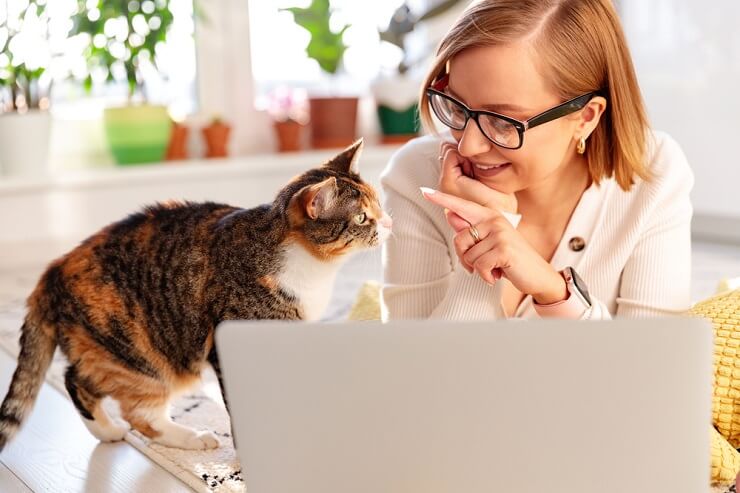 Um gato curioso e alerta, com as orelhas em alerta e os olhos focados, buscando avidamente atenção e interação.