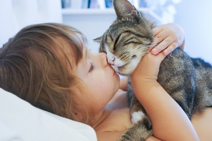 A imagem mostra um gato esfregando o focinho em uma pessoa, um objeto ou até mesmo um canto.