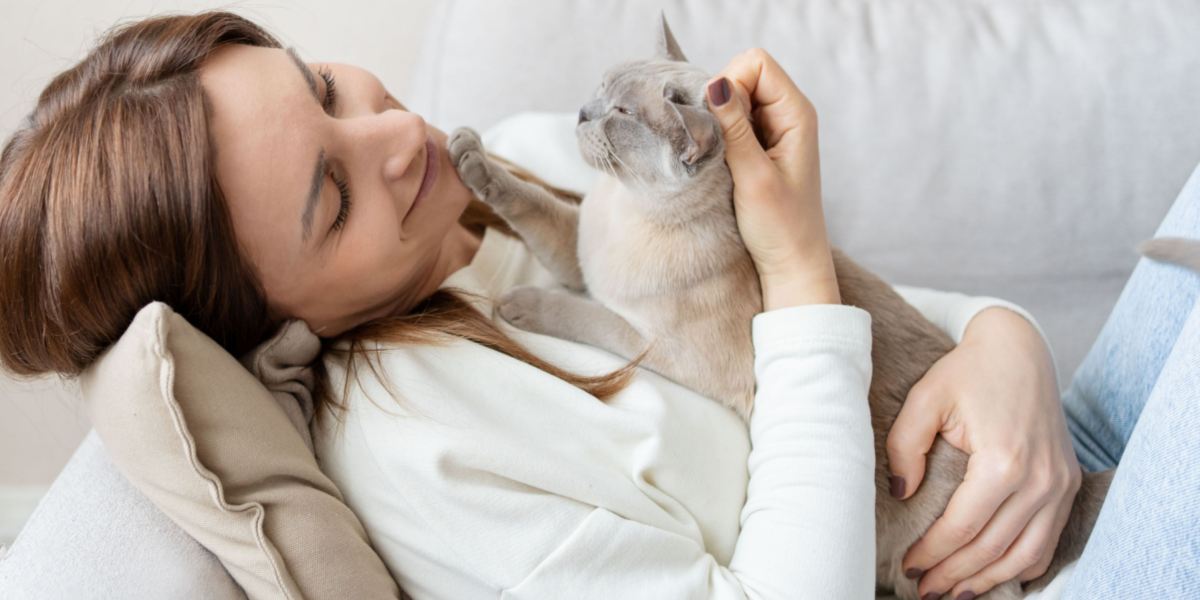 Imagem de um gato confortavelmente aninhado dentro de um baú, mostrando seu talento para encontrar espaços aconchegantes e confortáveis para relaxar.