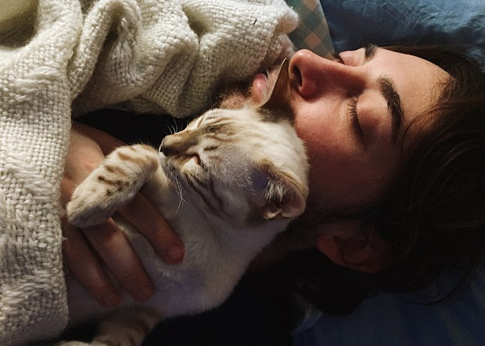 Uma cena pacífica se desenrola quando um homem e seu gato são retratados dormindo lado a lado.