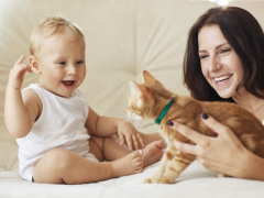 An image featuring a baby alongside a cat, potentially depicting a heartwarming interaction or companionship between the two.