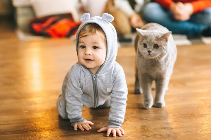 Uma foto comovente de um bebê com um gato, ilustrando uma conexão comovente e gentil entre os dois.