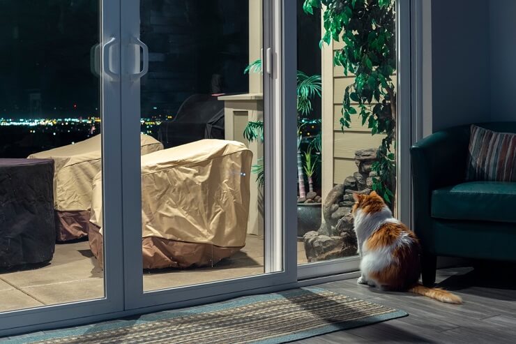 Imagem representando um gato sentado perto de uma janela durante a noite, miando baixinho sob o luar.