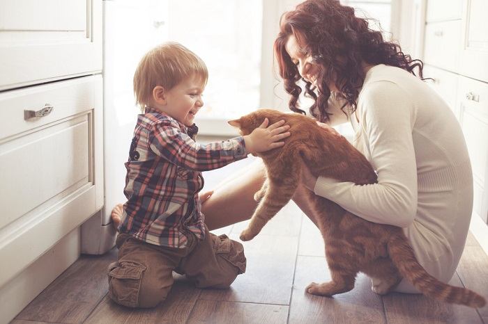 Uma imagem cativante com um gato e uma criança compartilhando um momento emocionante.