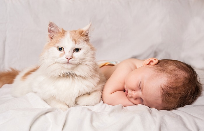 Um gato vigilante cuidando de um bebê que dorme pacificamente com um olhar protetor.