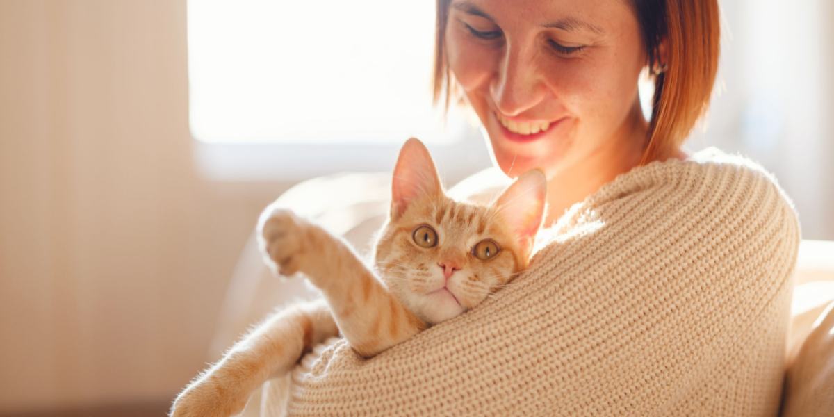 Treinar um gato que parece não ouvir pode ser um desafio, mas não é impossível.