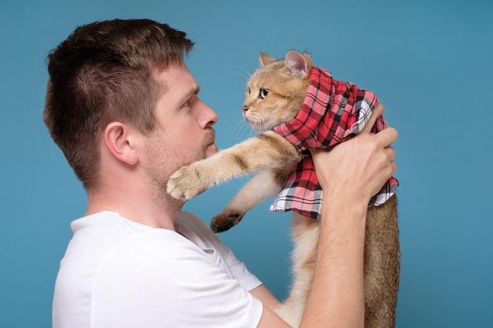 Foto de um cara segurando um gato contente e descontraído, ambos exalando um sentimento de harmonia e amizade no momento compartilhado.