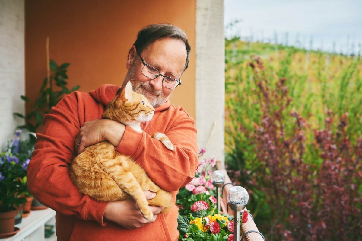 Foto de um marido com um gato nos braços, ilustrando uma comovente demonstração de companheirismo e cuidado entre o dono de um animal de estimação e seu amigo felino.