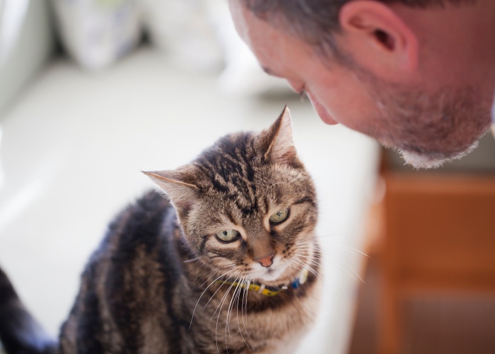 Imagem de um homem compartilhando um momento de ternura e carinho com seu gato, mostrando o vínculo gentil e amoroso que eles formaram.