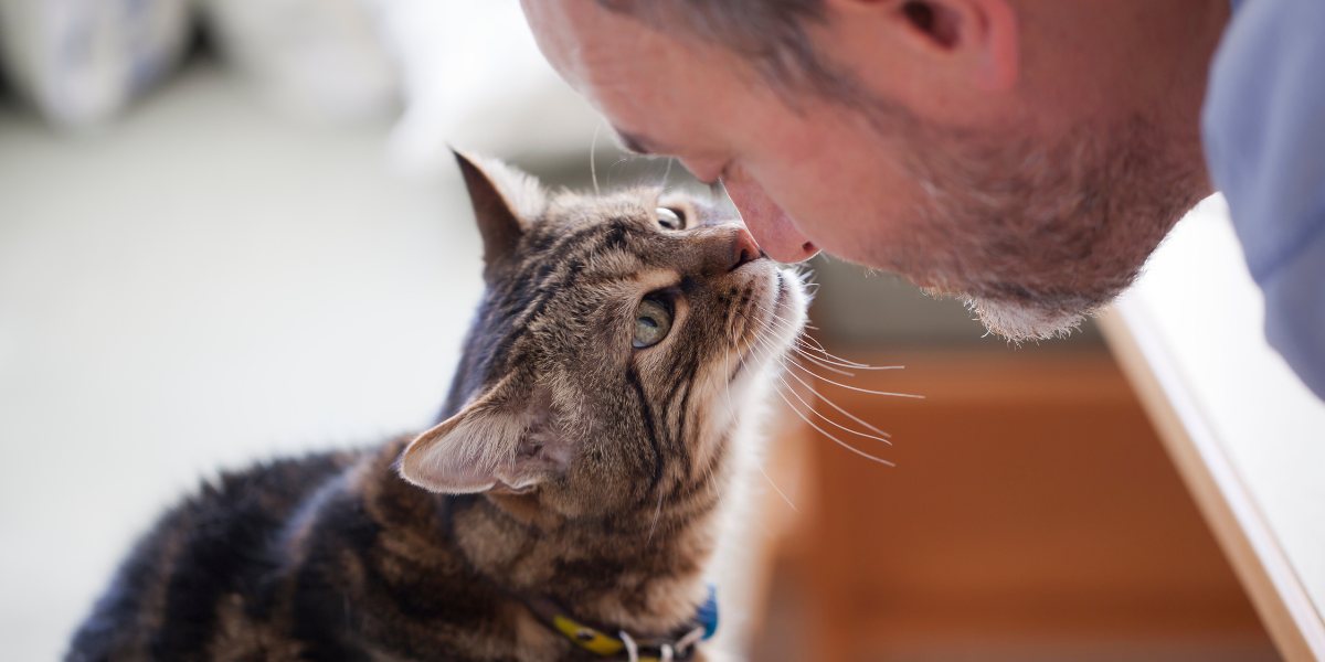 Imagem representando uma pessoa conversando com um gato.