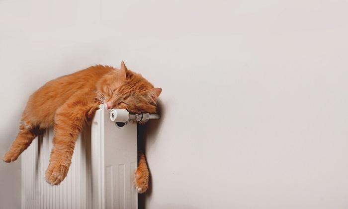 Um gato ruivo dormindo pacificamente em um radiador quente, aproveitando o conforto aconchegante do calor.