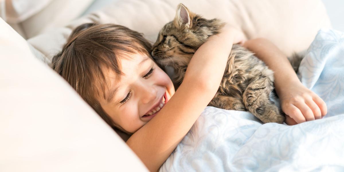 Foto de um gato lambendo carinhosamente o cabelo de seu dono, retratando um momento encantador e íntimo de vínculo entre um gato e seu humano.