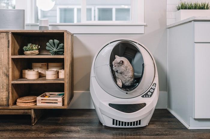 Caixa de areia para gatos, item essencial para manter a higiene e saneamento do gato.