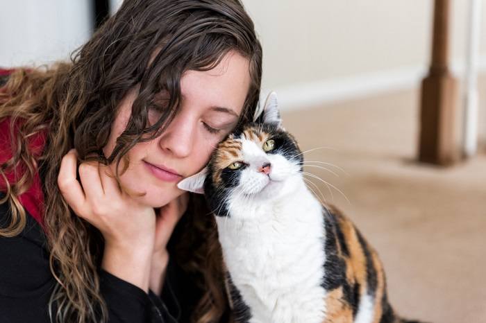 A imagem retrata um momento emocionante em que um gato se esfrega no rosto de uma mulher.