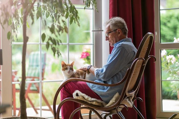 Um gato idoso descansando no colo de um indivíduo, compartilhando um momento de ternura que exemplifica o companheirismo reconfortante entre gatos e seus cuidadores humanos.