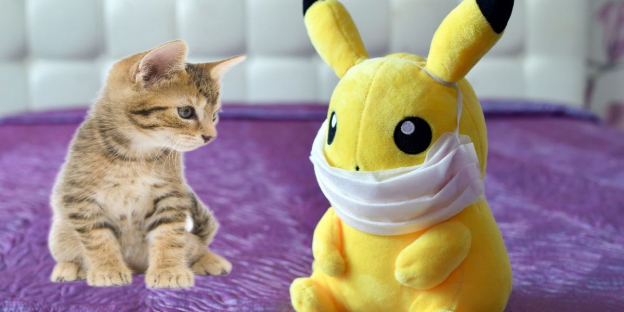 150 Nomes fofos de pokémon para gatos com significados